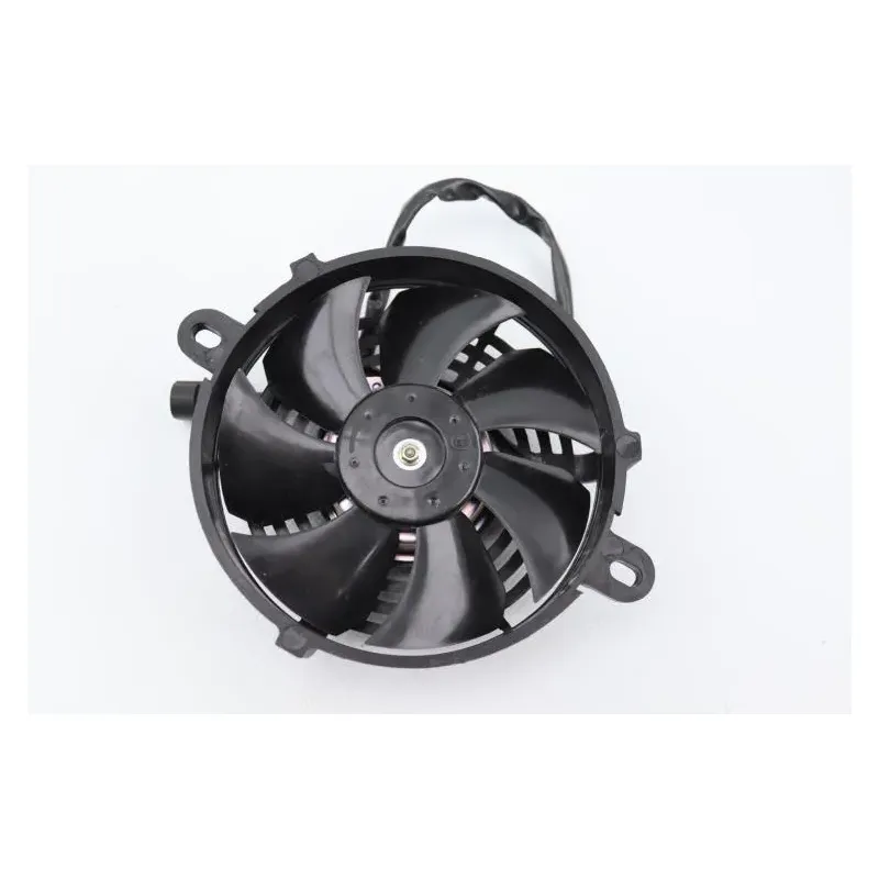 Ventilateur MALAGUTI XSM 50 2019 - 2020