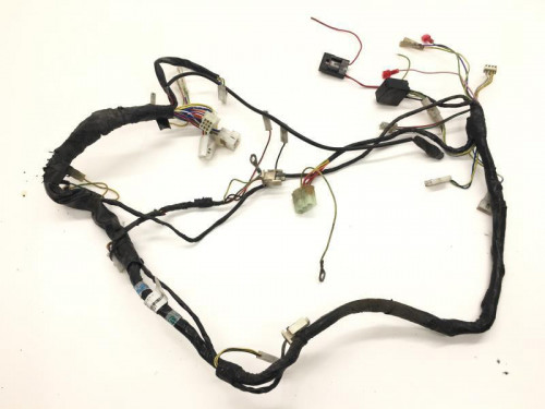 Faisceau electrique DERBI SENDA 50 SM X-RACE 2010