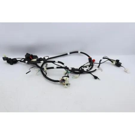 Faisceau electrique TNT MOTOR ROMA 50 2023 - 2024