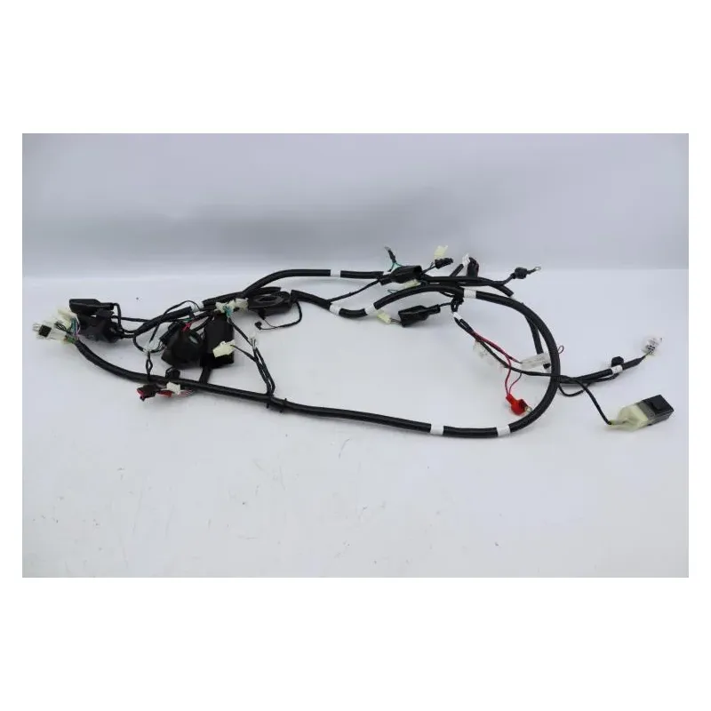 Faisceau electrique TNT MOTOR ROMA 50 2023 - 2024