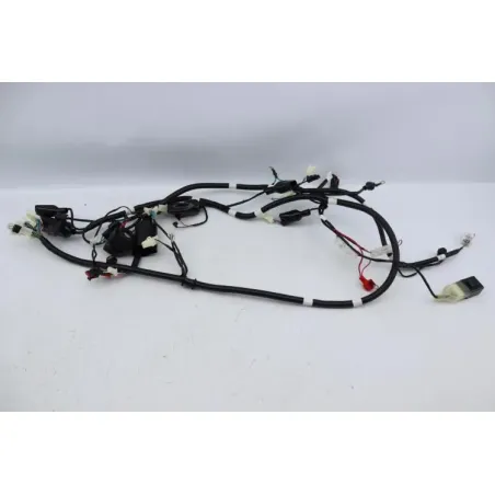 Faisceau electrique TNT MOTOR ROMA 50 2023 - 2024
