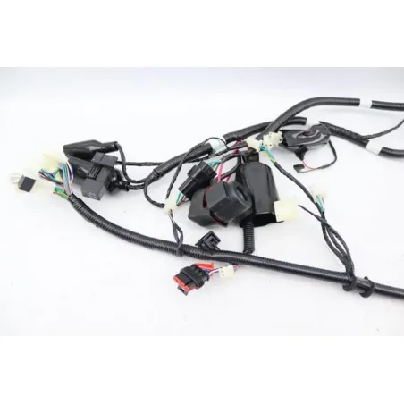 Faisceau electrique TNT MOTOR ROMA 50 2023 - 2024