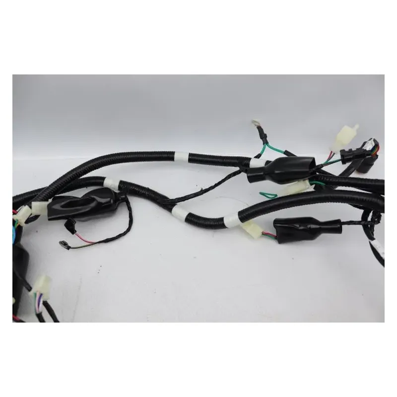 Faisceau electrique TNT MOTOR ROMA 50 2023 - 2024