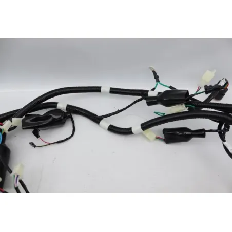 Faisceau electrique TNT MOTOR ROMA 50 2023 - 2024