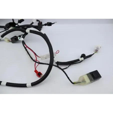 Faisceau electrique TNT MOTOR ROMA 50 2023 - 2024