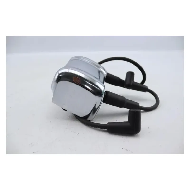 Bobine allumage HARLEY DAVIDSON FLSTC 1690 SOFTAIL HERITAGE CLASS 2012 - 2017