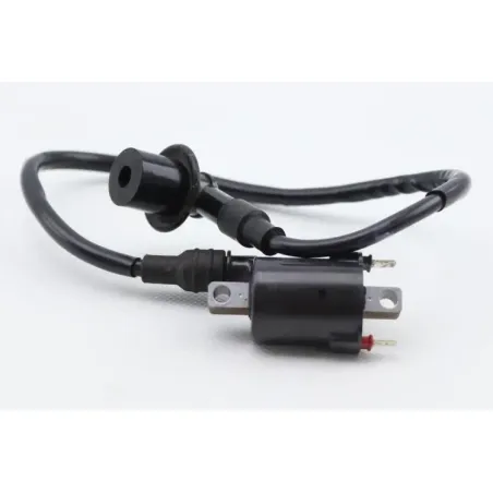 Bobine allumage SUZUKI ADDRESS 110 2015 - 2020