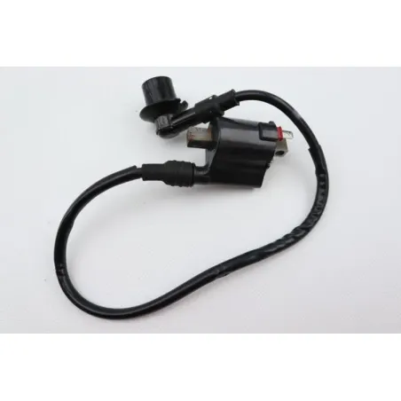 Bobine allumage SUZUKI ADDRESS 110 2015 - 2020