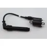 Bobine allumage KAWASAKI Z 125 2021 - 2023 Bobine allumage KAWASAKI Z 125 2021 - 2023