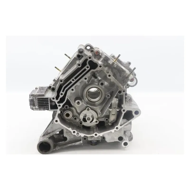 Carter moteur TGB BLADE 1000 LTX 2022 - 2023
