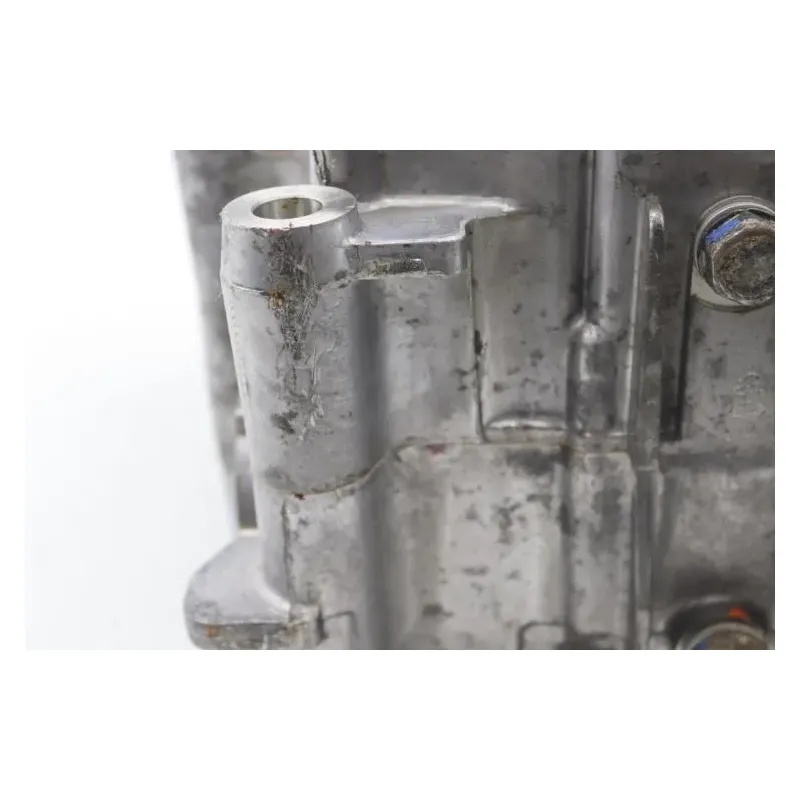 Carter moteur TGB BLADE 1000 LTX 2022 - 2023