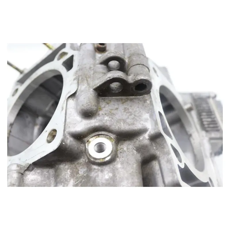 Carter moteur TGB BLADE 1000 LTX 2022 - 2023