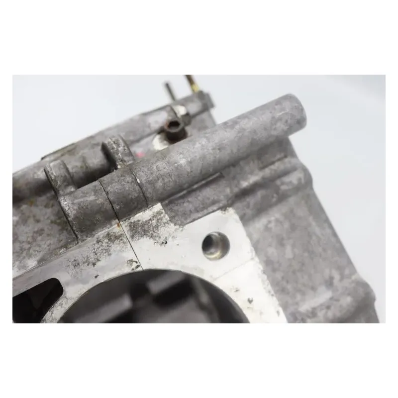 Carter moteur TGB BLADE 1000 LTX 2022 - 2023