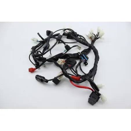 Faisceau electrique ORCAL SIRIO 125 2018 - 2023