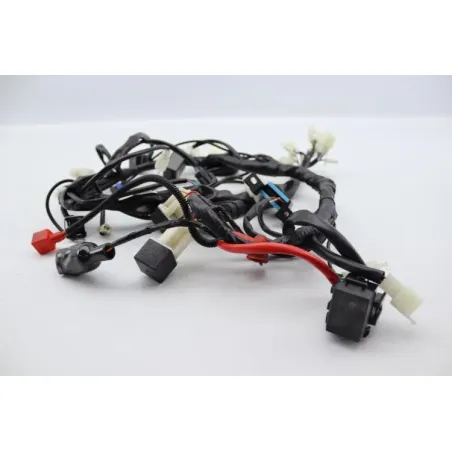 Faisceau electrique ORCAL SIRIO 125 2018 - 2023