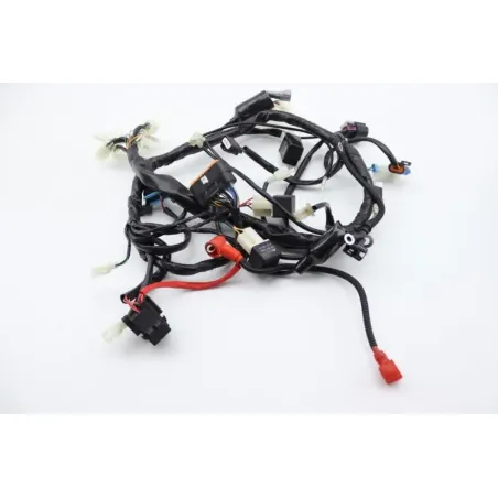 Faisceau electrique ORCAL SIRIO 125 2018 - 2023