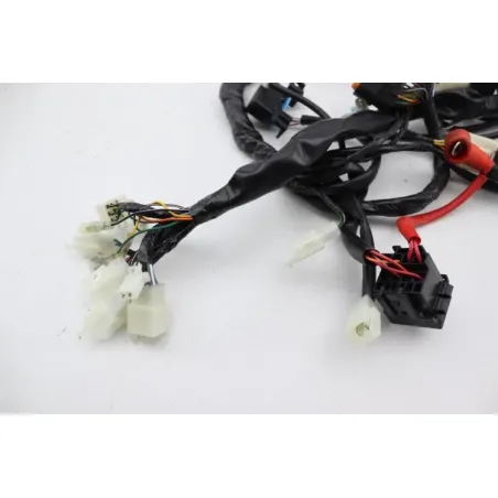 Faisceau electrique ORCAL SIRIO 125 2018 - 2023