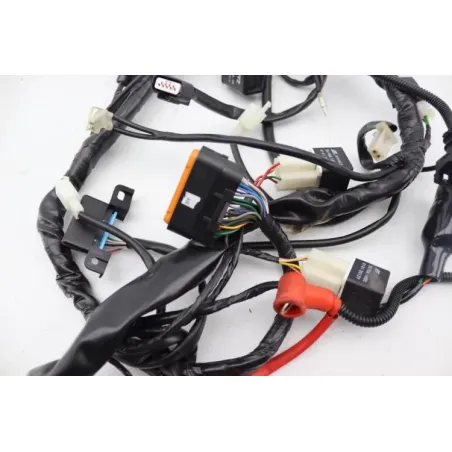 Faisceau electrique ORCAL SIRIO 125 2018 - 2023