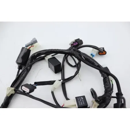 Faisceau electrique ORCAL SIRIO 125 2018 - 2023