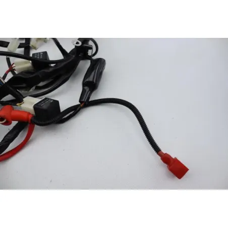Faisceau electrique ORCAL SIRIO 125 2018 - 2023