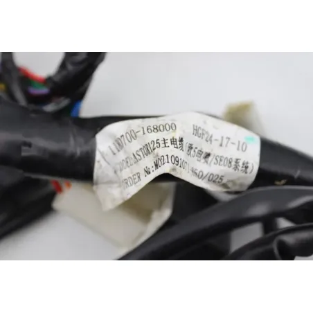 Faisceau electrique ORCAL SIRIO 125 2018 - 2023