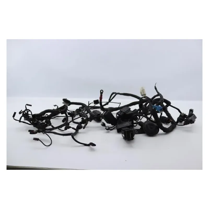 Faisceau electrique BMW K 1200 S 2005 - 2008