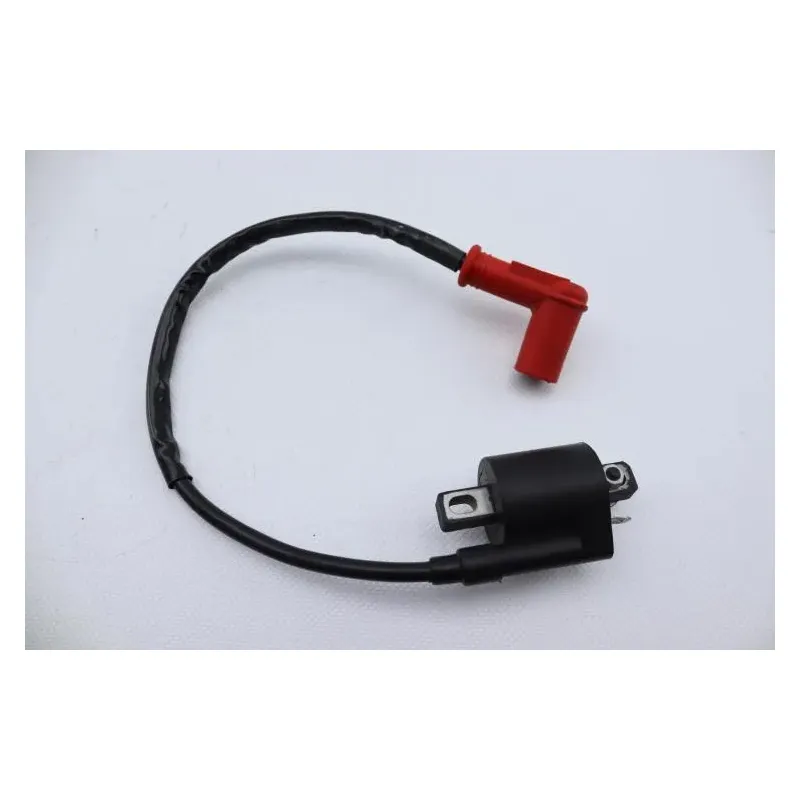 Bobine allumage ZONGSHEN DIRT 50 2004 - 2007