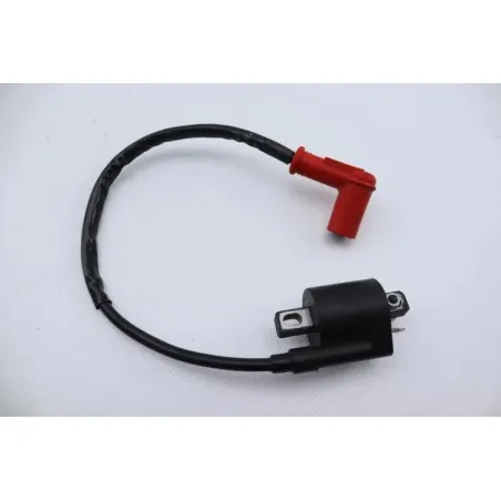 Bobine allumage ZONGSHEN DIRT 50 2004 - 2007
