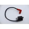 Bobine allumage ZONGSHEN DIRT 50 2004 - 2007