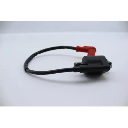 Bobine allumage ZONGSHEN DIRT 50 2004 - 2007
