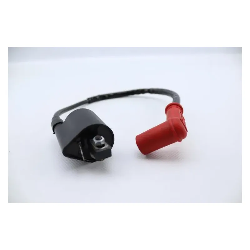Bobine allumage ZONGSHEN DIRT 50 2004 - 2007