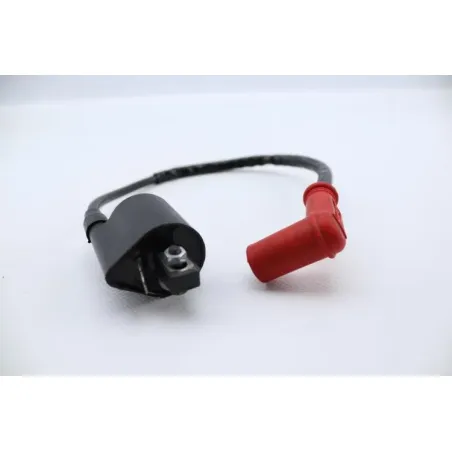 Bobine allumage ZONGSHEN DIRT 50 2004 - 2007