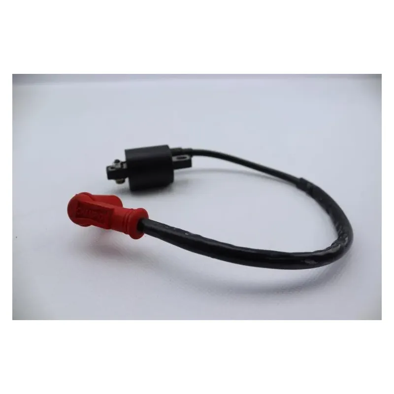 Bobine allumage ZONGSHEN DIRT 50 2004 - 2007