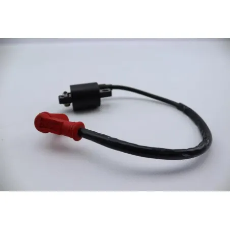 Bobine allumage ZONGSHEN DIRT 50 2004 - 2007