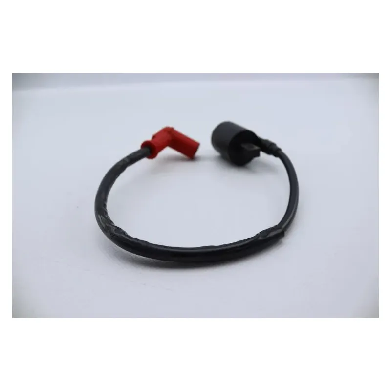 Bobine allumage ZONGSHEN DIRT 50 2004 - 2007