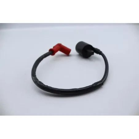 Bobine allumage ZONGSHEN DIRT 50 2004 - 2007