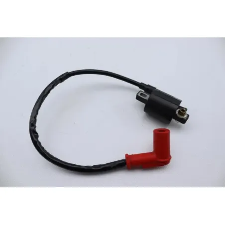 Bobine allumage ZONGSHEN DIRT 50 2004 - 2007