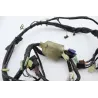 Faisceau electrique HONDA CBF 500 2004 - 2007