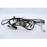 Faisceau electrique RIDE KALLIO 50 2010 - 2019 Faisceau electrique RIDE KALLIO 50 2010 - 2019
