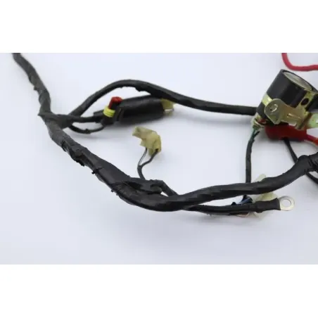 Faisceau electrique RIDE KALLIO 50 2010 - 2019