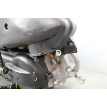 Moteur HONDA SFX 50 1995 - 1996