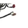 Faisceau electrique HONDA CRF 450 R 2017