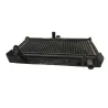 Radiateur eau HONDA NSR 125 1993-2001 Radiateur eau HONDA NSR 125 1993-2001
