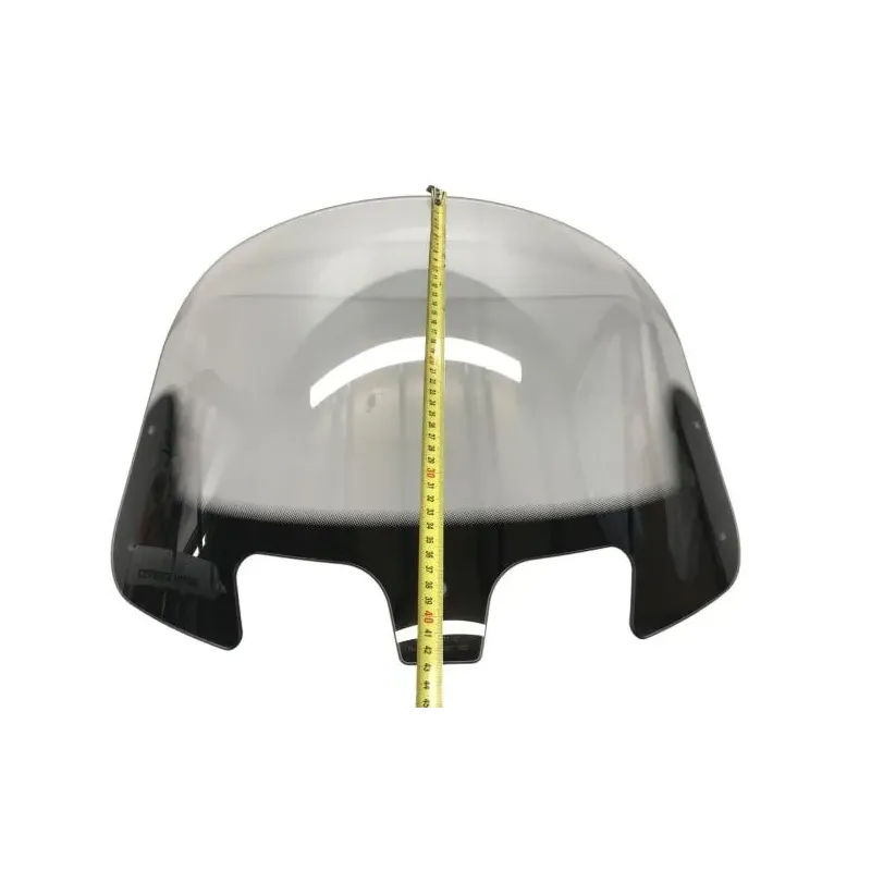 Bulle INDIAN ROADMASTER 1890 2020-2023 DARK HORSE