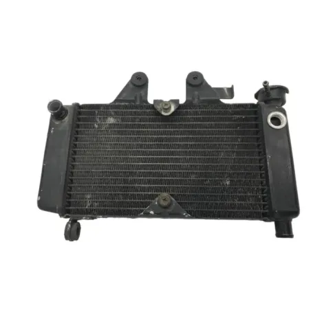 Radiateur eau HONDA VT 125 C 1999-2007 SHADOW