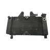 Radiateur eau HONDA VT 125 C 1999-2007 SHADOW