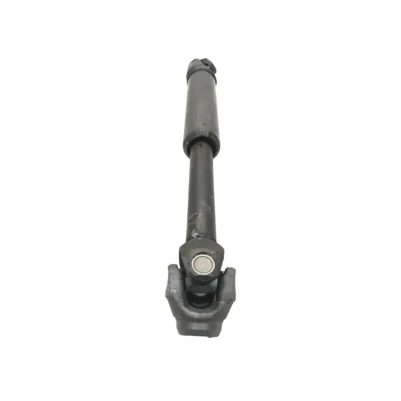 Cardan BMW R 1250 R 2019-2024