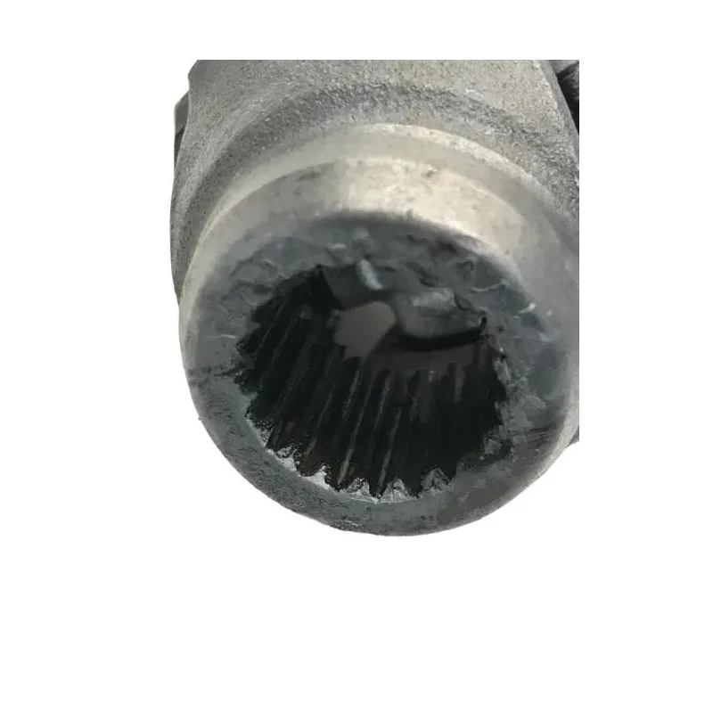Cardan BMW R 1250 R 2019-2024