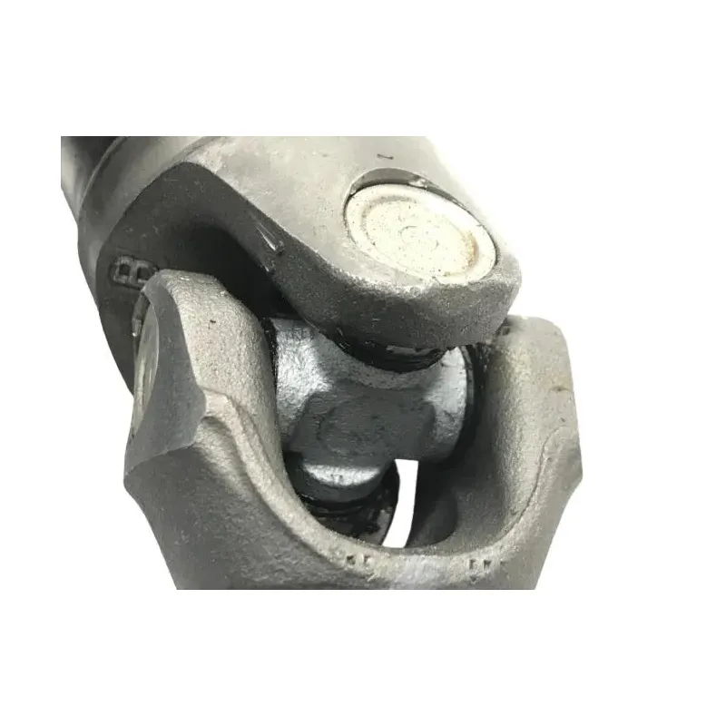 Cardan BMW R 1250 R 2019-2024