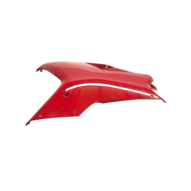 Cache flanc de carenage gauche DUCATI 1198 S 2009-2010 SUPERBIKE